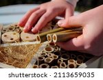 A child builds an insect hotel...