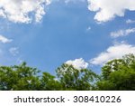 Tree Tops With Sky And Clouds Free Stock Photo - Public Domain Pictures