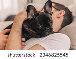 A young positive man is holding a puppy, a black French Bulldog, in an apartment.The concept of care, training,raising of animals.