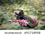 Agriculture Is Harvesting Lotus ...