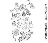 vector botanical illustration.... | Shutterstock .eps vector #1682930875