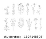 vector line hand drawn... | Shutterstock .eps vector #1929148508