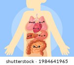 cute organs inside human body... | Shutterstock .eps vector #1984641965