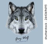 Wolf Animal Face. Scary Grey...