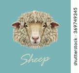 Sheep Portrait. Vector...