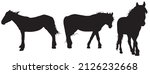 Horses Silhouettes Set Vector...