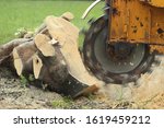 Using a Stump Grinder to remove fallen tree