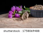 Milk thistle (Silybum marianum) seeds and flowers on a wooden background. Homeopathy concept