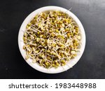 Green sprouted moong in a plate. Mung bean sprouts are a culinary vegetable grown by sprouting mung beans. Mung Bean Sprout