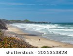 Small photo of A lone beachcomber walks on Beverly Beach with Yaquina Head Lighthouse in the background near Newport, Oregon, USA