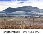 View of the Pálava Mountains in the foreground of a vineyard with snow and in the background Lake Mušov and the frosted Pálava Mountains rise