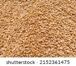 Small photo of Toor dal, is known as tur daal, yellow lentils split peas, toor, dal, daal, indian split pigeon peas, arhar dal, tuvar dal, split peas, Yellow lentils, daal tadka, indian pulses, seeds protein food