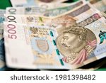 Close Up Of Polish Zloty In...
