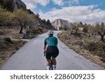 Small photo of Close up back view of a female cyclist during ride.Woman cyclist wearing cycling kit and helmet riding on gravel bike.Cycling through stunning Spanish mountain landscapes.