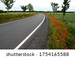 A new asphalt road with a white line on the sides in a ditch along which grow maples and red poppies around a field of meadows The road turns after reconstruction gray green trees lawn gravel bollard