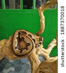 Yellow Snake Wrapped around a tree image - Free stock photo - Public ...