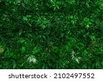Small photo of Artificial vertical green garden decoration on the wall for nature background. Texture of small artificial green leaves plants and flowers, plastic. Ecology, green world, environmentally friendly