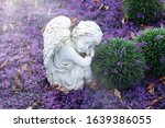Angel Statue On Purple Flowers