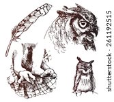 hand drawn owl paws owl owl... | Shutterstock .eps vector #261192515