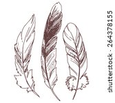 feathers  sketch illustration ... | Shutterstock .eps vector #264378155
