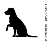 vector black silhouette of a... | Shutterstock .eps vector #1893776545