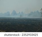 Small photo of Smoke filled sky smothering partially burnt trees surrounded by a grassland landscape that has burnt to pitch black ash with a few small orange golden flames still burning
