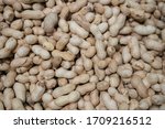 Bulky Of Ground Nuts Selling In ...