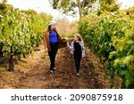 Small photo of Young beautiful girl and little child walking through a vineyard picking mellow grape in sunny day in Italy. female family of winemakers