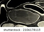 neuron system. anatomic ornate... | Shutterstock . vector #2106178115