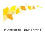 curved illustration of ginkgo... | Shutterstock .eps vector #1834677445