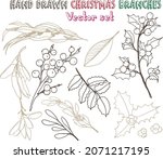 hand drawn fir  pine cedar ... | Shutterstock .eps vector #2071217195