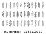 set of black outline laurels... | Shutterstock .eps vector #1953110392