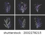 botanical posters. decorative... | Shutterstock .eps vector #2032278215