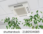 Cassette Air Conditioner on ceiling in modern light office or apartment with green ficus plant leaves. Indoor air quality and clean filters concept