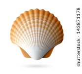 Scallop Seashell. Vector.