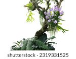 Small photo of Tropical plants bush with tropical rainforest tree with epiphytes creeper plants Staghorn fern, Bird's nest fern, hanging Dischidia succulent plant and purple Vanda orchid flowers on white background