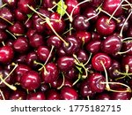 macro photo fresh cherry. stock ... | Shutterstock . vector #1775182715