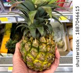 Small photo of Macro photo pineapple in hand. Stock photo pineapple tropical fruit
