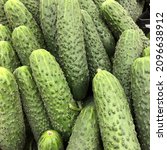 Small photo of Macro photo green fresh cucumber. Stock photo vegetable cucumbers background