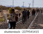 Migrants walk alongside the...