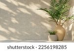 Small photo of Minimal product placement background with tropical palm in clay pot and shadow on concrete wall. Luxury summer architecture interior aesthetic. Modern summer mockup design.