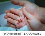 Children. Babies. Small hand of a newborn baby in the hands of happy parents
