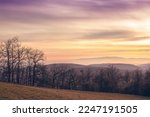 Late autumn landscape.Sunset over hills and silhouettes of trees. High quality photo