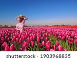 Young woman tourist in pink dress and straw hat standing in blooming tulip field. Spring time