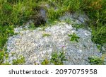 groundhog burrow in vivo.... | Shutterstock . vector #2097075958