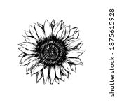 sunflower vector illustration... | Shutterstock .eps vector #1875615928
