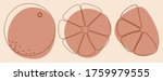 abstract orange. orange slices. ... | Shutterstock .eps vector #1759979555