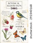 hand drawn botanical... | Shutterstock .eps vector #292340168