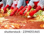 Small photo of An event where many people gather to make kimchi, a traditional Korean food. Every year in Korea, there are many events in winter where groups make kimchi and deliver it to poor neighbors.