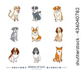 breeds of dog set. funny... | Shutterstock .eps vector #436040782